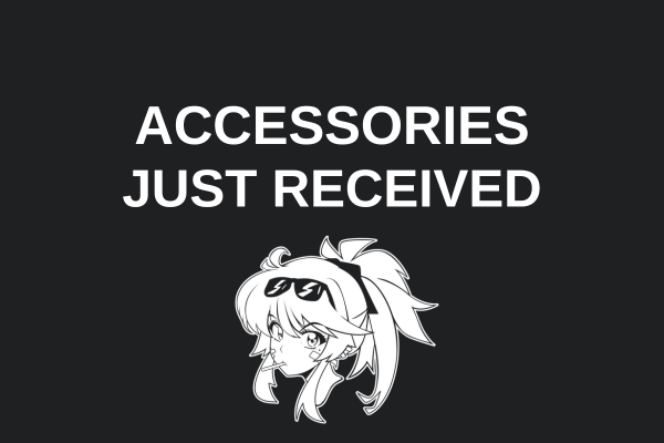 Accessories Just Received