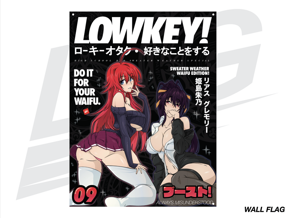 LOWKEY! "HIGHSCHOOL DXD" WALL FLAG