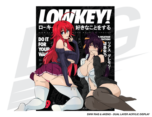 LOWKEY! SWW RIAS & AKENO ACRYLIC DISPLAY - DUAL LAYER